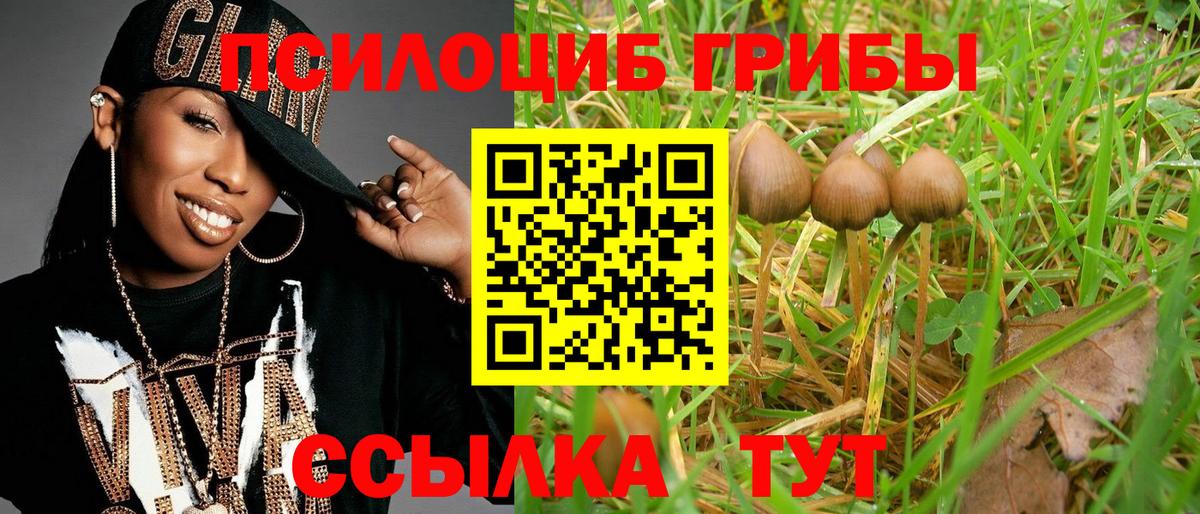 Галлюциногенные грибы ЛСД Советская Гавань